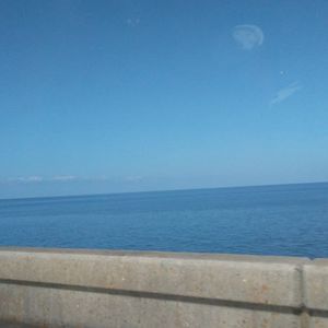 Meet your Posher, Marlon